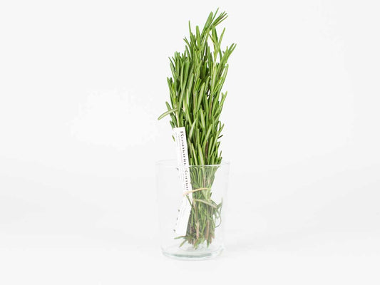 Earlybird Food AG | Rosmarin 1 Bund ca. 25g
