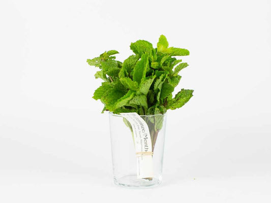 Earlybird Food AG | Pfefferminze 1 Bund ca. 25g